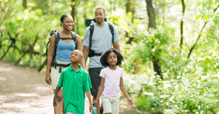 Local Pest Solutions