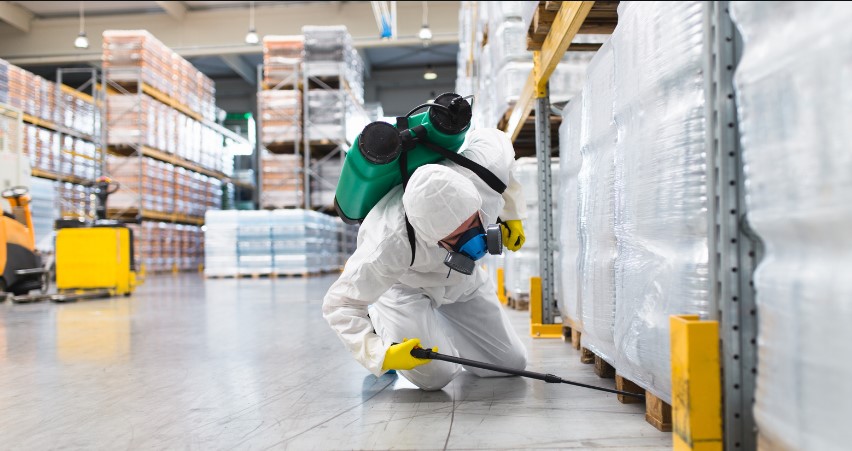 Calgary pest solutions